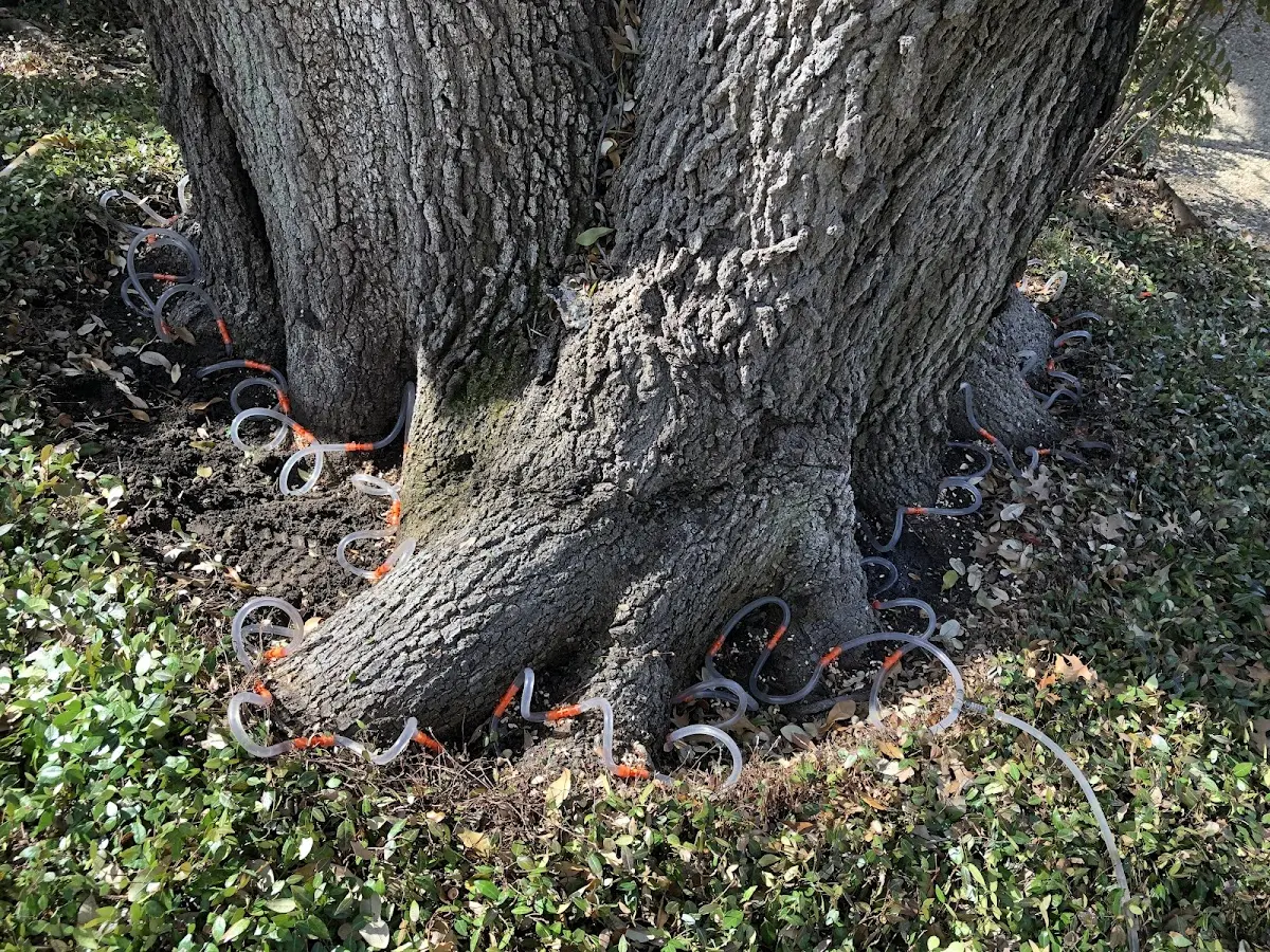 Detailed Shrub and Hedge Trimming job site in Blain